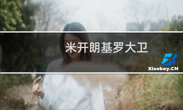 米开朗基罗大卫