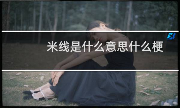 米线是什么意思什么梗