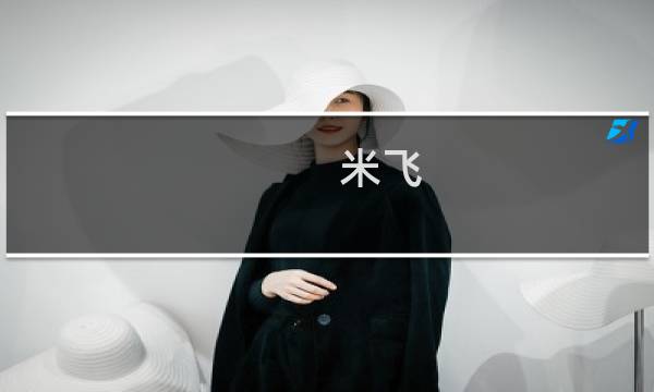 米飞图片