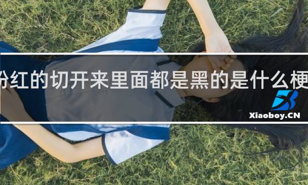 粉红的切开来里面都是黑的是什么梗什么梗