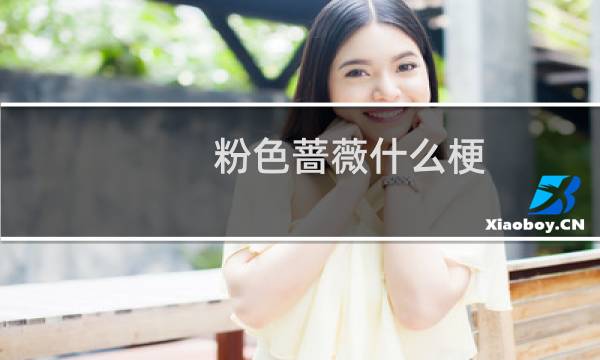 粉色蔷薇什么梗