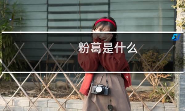 粉葛是什么