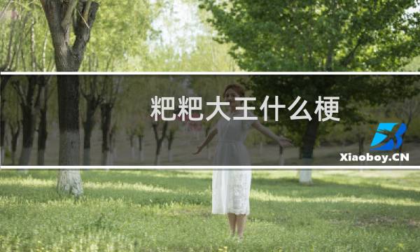粑粑大王什么梗