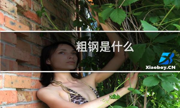 粗钢是什么（粗钢的介绍）图片