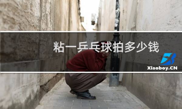 粘一乒乓球拍多少钱