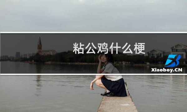 粘公鸡什么梗？什么梗