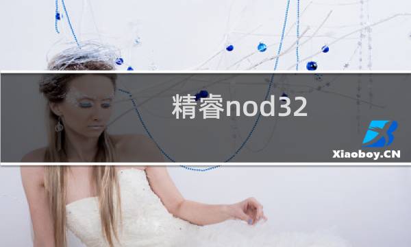 精睿nod32图片