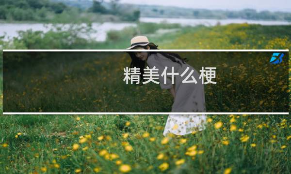 精美什么梗
