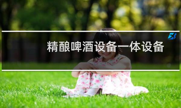 精酿啤酒设备一体设备图片
