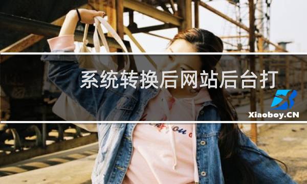 系统转换后网站后台打不开