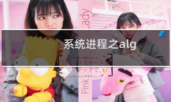 系统进程之alg.exe能禁用吗?