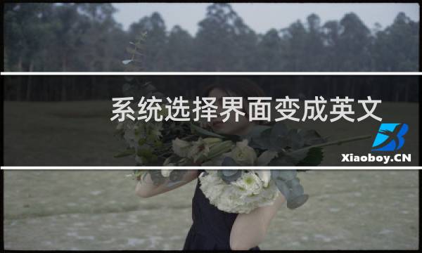 系统选择界面变成英文了怎么办?