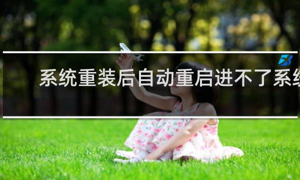 系统重装后自动重启进不了系统
