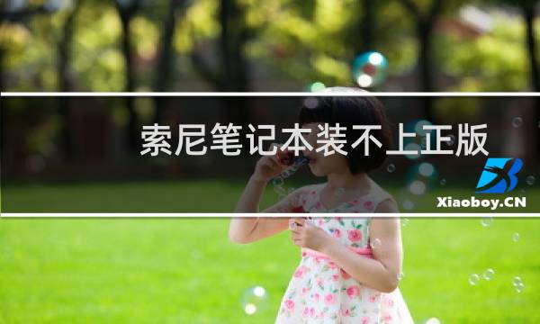 索尼笔记本装不上正版XP