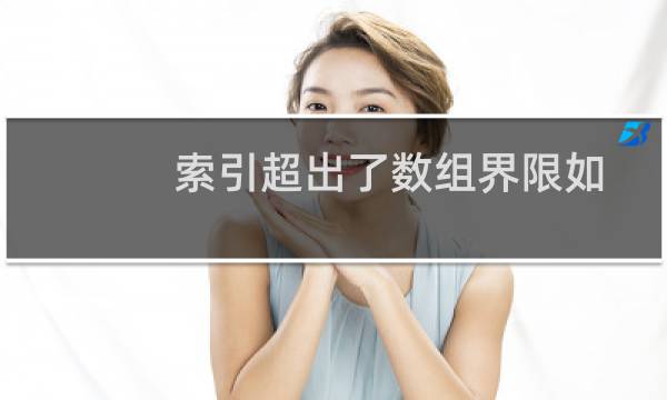 索引超出了数组界限如何解决