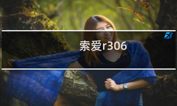 索爱r306