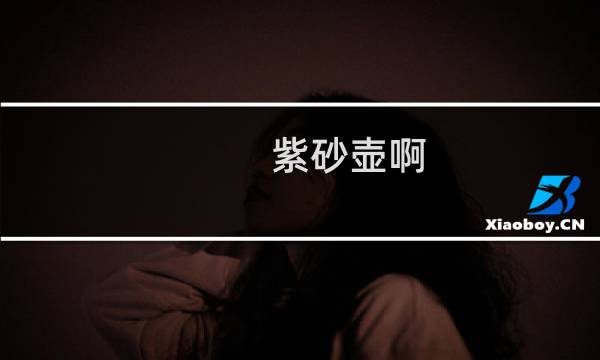 紫砂壶啊