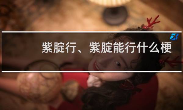紫腚行、紫腚能行什么梗