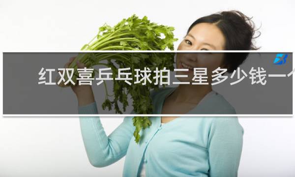 红双喜乒乓球拍三星多少钱一个