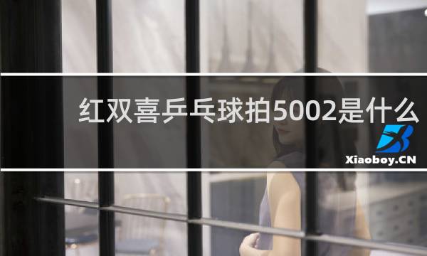 红双喜乒乓球拍5002是什么意思