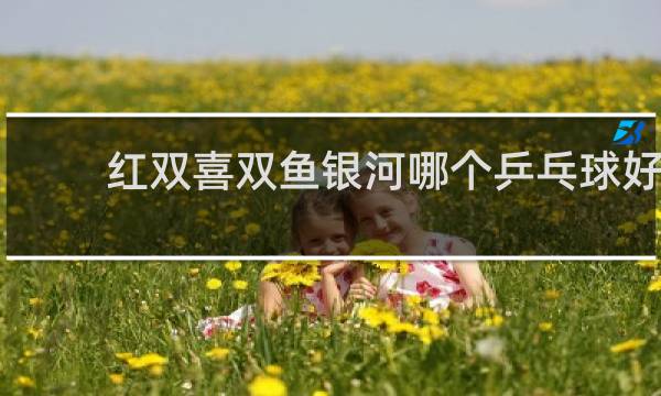 红双喜双鱼银河哪个乒乓球好