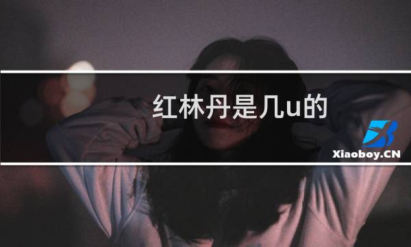 红林丹是几u的