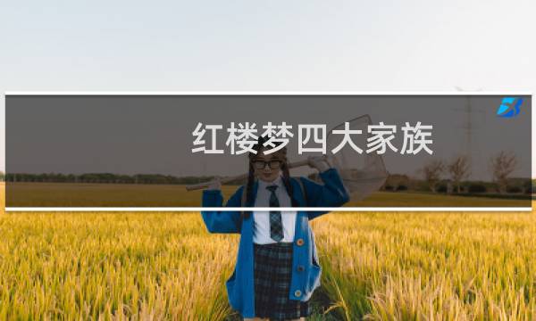 红楼梦四大家族（四大家族简介）图片