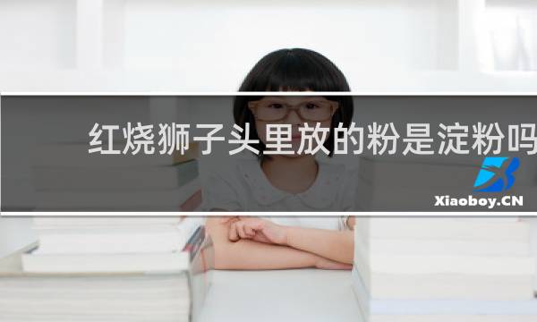 红烧狮子头里放的粉是淀粉吗
