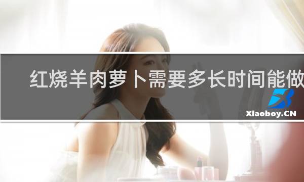 红烧羊肉萝卜需要多长时间能做好