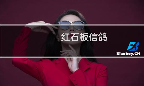 红石板信鸽