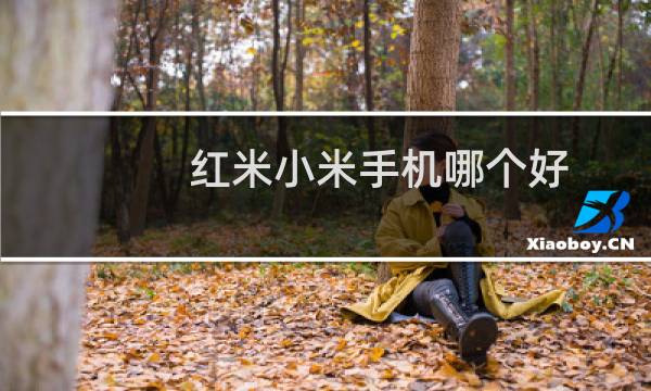 红米小米手机哪个好