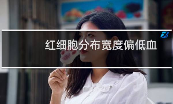 红细胞分布宽度偏低血小板压积偏高（红细胞分布宽度偏低）