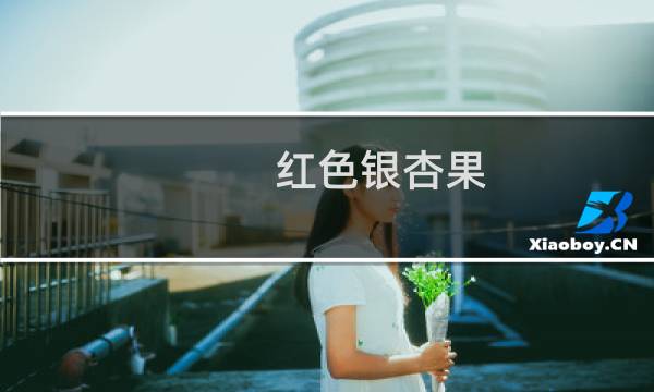 红色银杏果