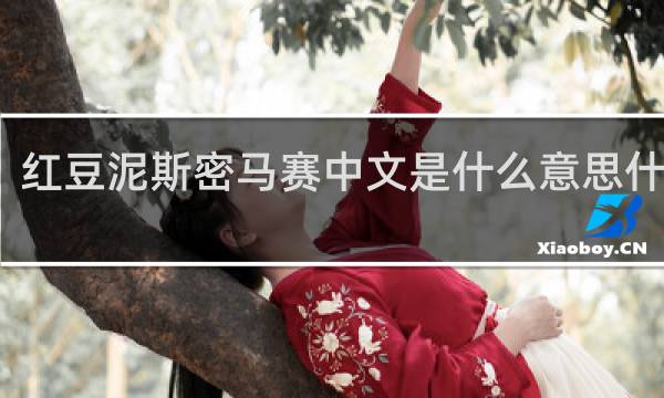 红豆泥斯密马赛中文是什么意思什么梗