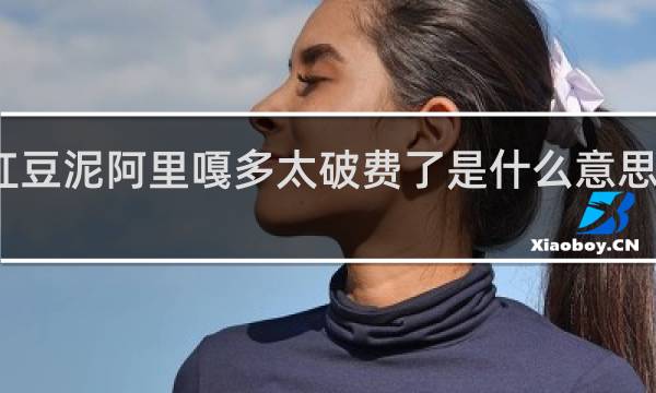 红豆泥阿里嘎多太破费了是什么意思什么梗