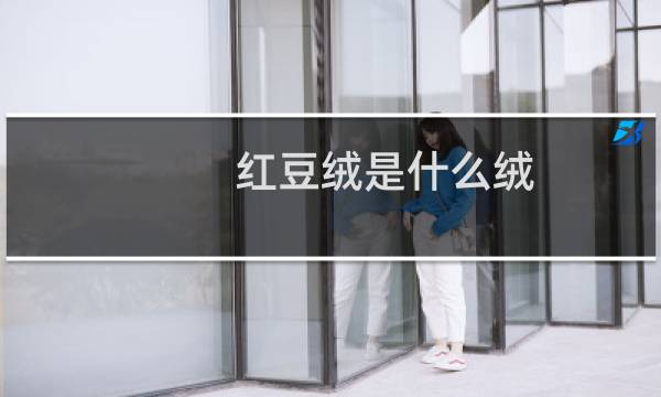 红豆绒是什么绒（红豆绒是什么面料）图片