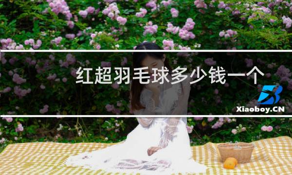 红超羽毛球多少钱一个