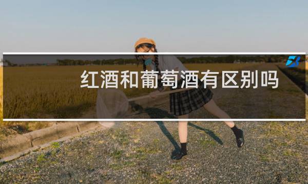 红酒和葡萄酒有区别吗
