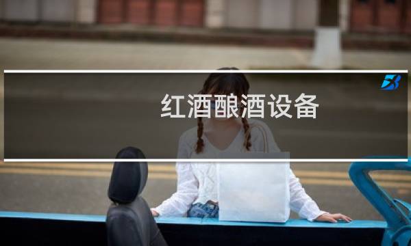 红酒酿酒设备