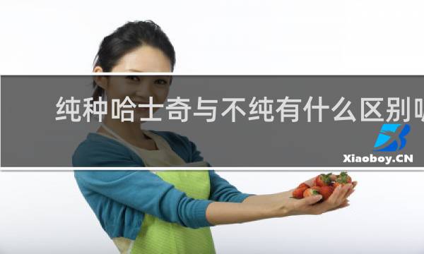 纯种哈士奇与不纯有什么区别呢