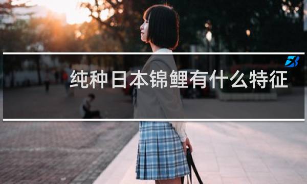 纯种日本锦鲤有什么特征