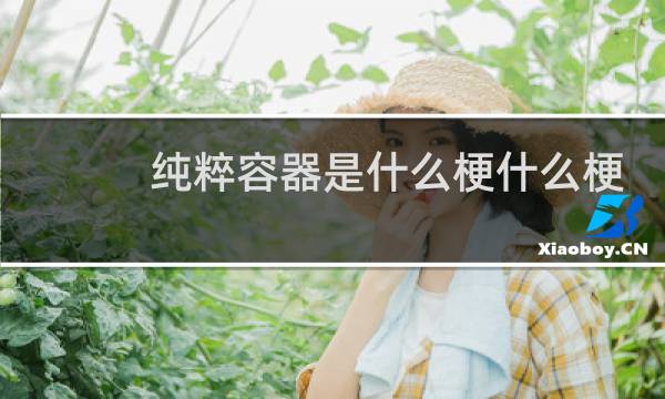 纯粹容器是什么梗什么梗