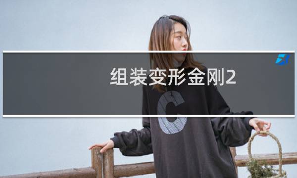 组装变形金刚2图片