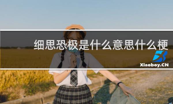 细思恐极是什么意思什么梗