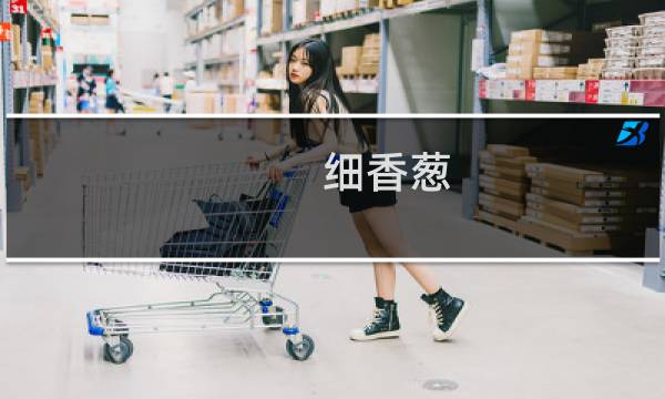 细香葱图片