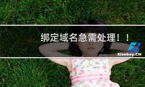 绑定域名急需处理！！急！