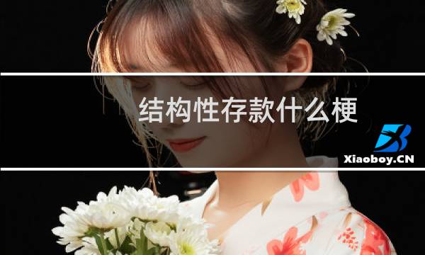 结构性存款什么梗