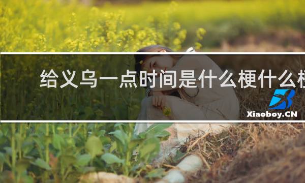 给义乌一点时间是什么梗什么梗