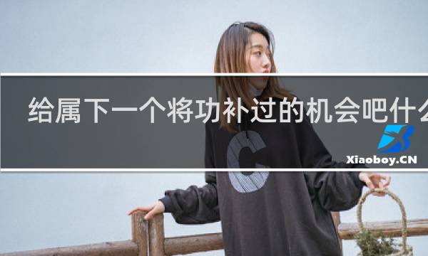 给属下一个将功补过的机会吧什么梗
