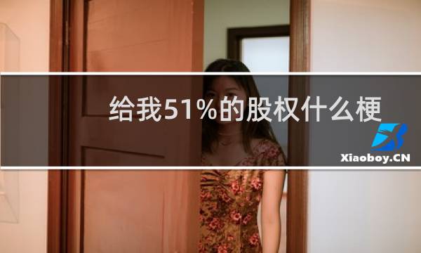 给我51%的股权什么梗